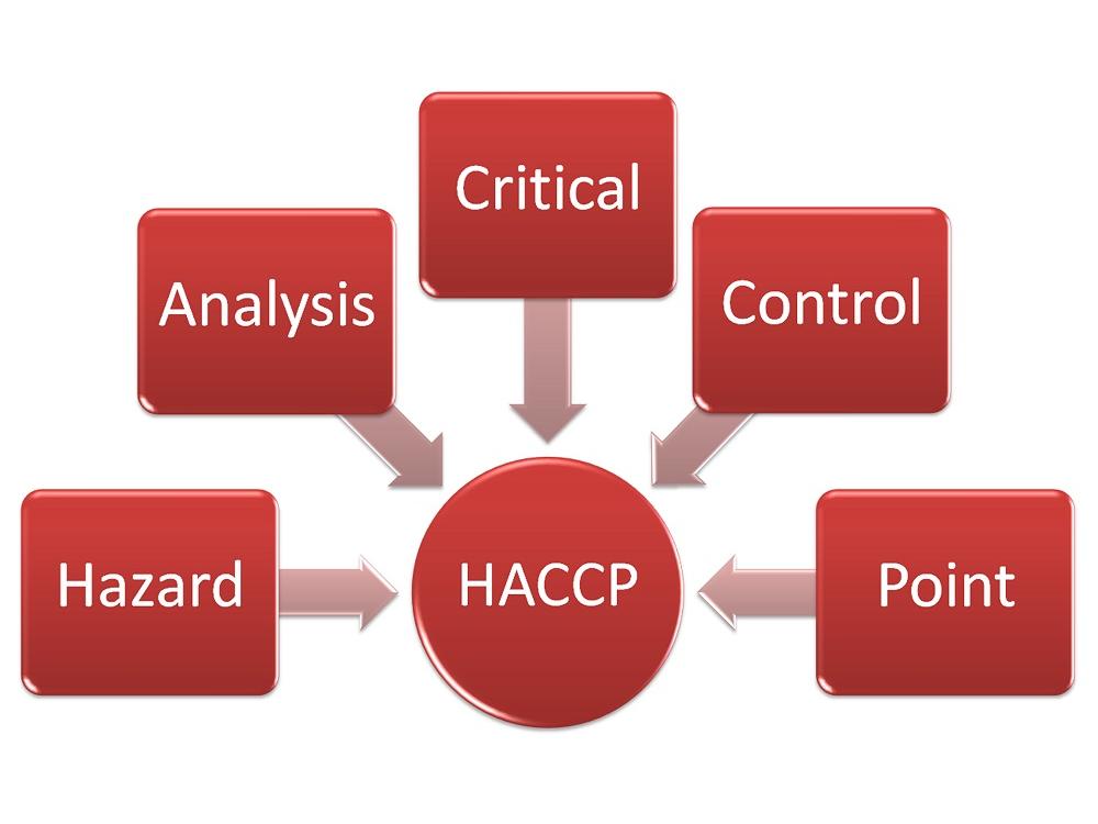 HACCP en voedselveiligheid